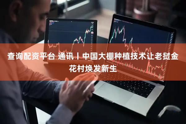 查询配资平台 通讯丨中国大棚种植技术让老挝金花村焕发新生