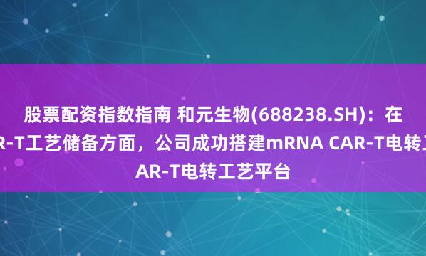 股票配资指数指南 和元生物(688238.SH)：在新型CAR-T工艺储备方面，公司成功搭建mRNA CAR-T电转工艺平台